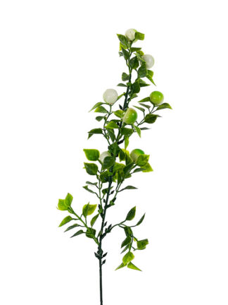 Dodatek z białym owocem E133 (50cm)