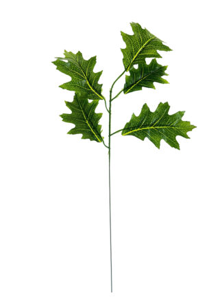 Liść pojedynczy 02 DĄB  60 cm