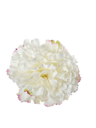 Goździk główka wyrobowa A960 Ecru/róż (7cm)