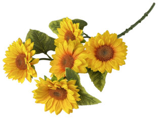 Słoneczniki na gałązce x 5 L854  (62 cm)
