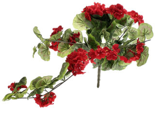 Pelargonia ze zwisem w bukiecie J169A Czerwony (70 cm)