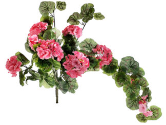 Pelargonia ze zwisem w bukiecie J169A Jasny róż (70 cm)