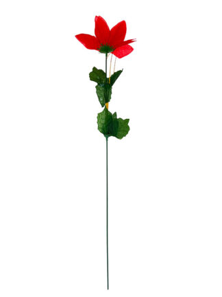 Kwiat pojedynczy Gwiazda Betlejemska (48 cm)
