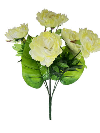Bukiet Piwonii Peonia X142B Ecru (50 cm) Ostatnia sztuka!
