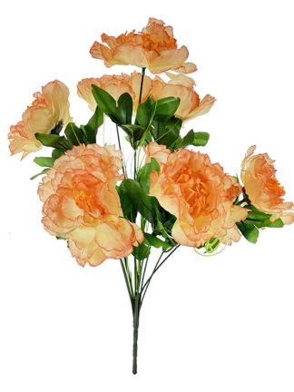 Bukiet Piwonii Peonia A037 Brzoskwiniowy (45 cm) Ostatnie sztuki!