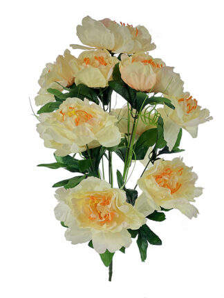 Bukiet Piwonii Peonia A037 Ecru (45 cm) Ostatnie sztuki!