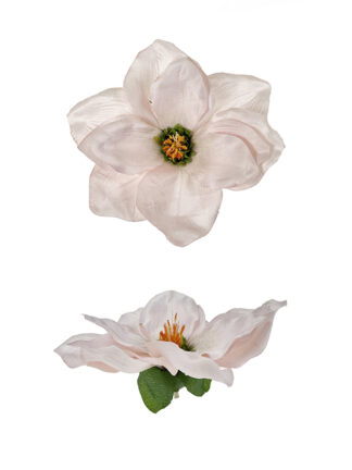 Magnolia główka wyrobowa CV06490 Różowa