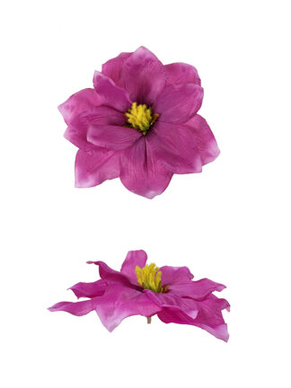 Magnolia główka wyrobowa CV08359 Fuksja