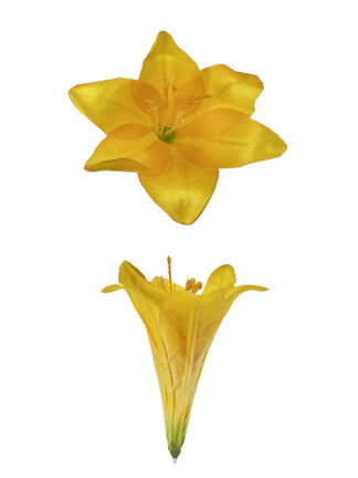 Lilia główka wyrobowa L005 Żółta