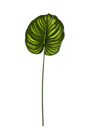 Liść pojedynczy Filodendron A650  (39cm)
