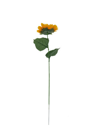 Słonecznik pojedynczy J044 (70 cm)