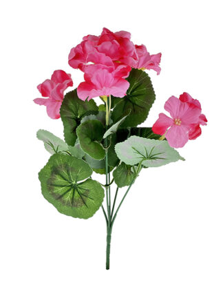 Pelargonia w bukiecie x 5 J209 Jasny Róż (35 cm)