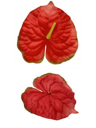 Anturium główka wyrobowa L1022 Czerwony/zielony (15 cm)