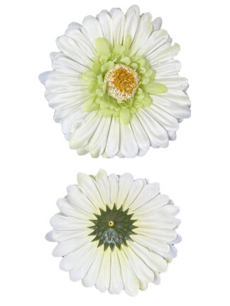 Gerbera główka wyrobowa B19B Biały/zielony (10 cm)