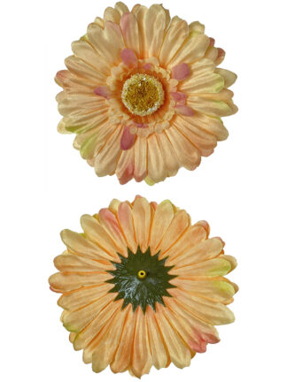 Gerbera główka wyrobowa B19B Brzoskwiniowa (10 cm)