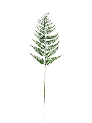Liść paproci RX144  (60 cm)