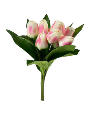 Tulipan Bush bukiet  x 9  J159A (30 cm)