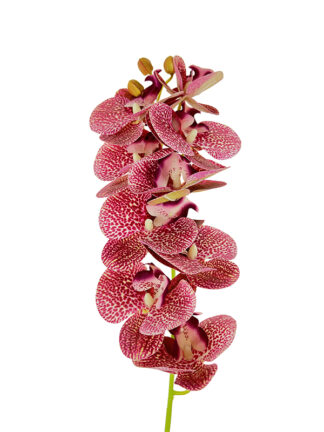 Storczyk silikonowy gałązka „jak żywy” OP2-3