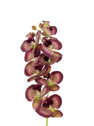 Storczyk silikonowy gałązka „jak żywy” OP2-4