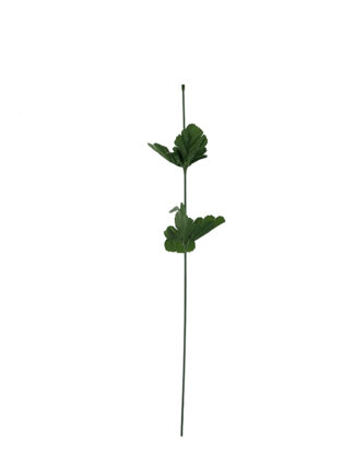 Łodyga do chryzantemy BL013 (50cm)