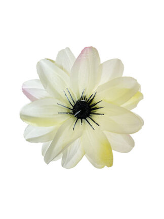 Dalia główka kwiatowa L016 Ecru (10 cm)