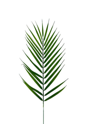 Liść dekoracyjny Palma Areca  RX142 (55cm)