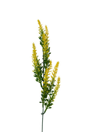 Wrzos Dodatek E145A 3 Kolory