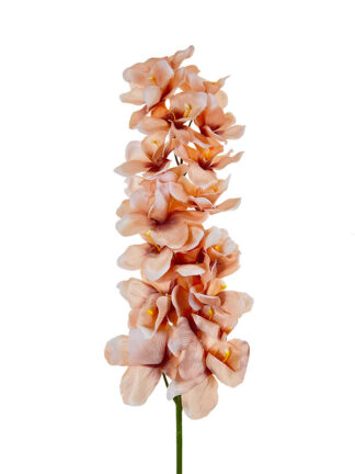 Storczyk długi L053 -Różne kolory- (100 cm)