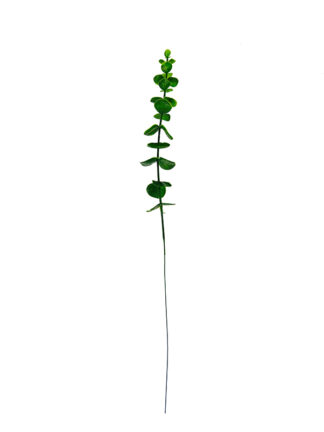 Liść eukaliptus  C559A 40 cm