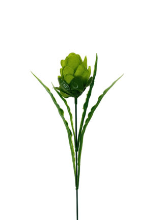 Protea Gałązka dekoracyjna kwiat egzotyczny G061 Zielony (40cm)