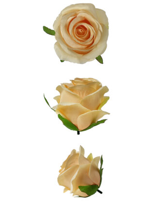 Róża pąk główka kwiatowa W705 Herbaciana (9cm)