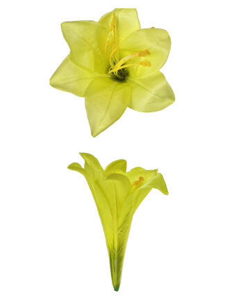 Lilia główka wyrobowa L005 Limonkowa