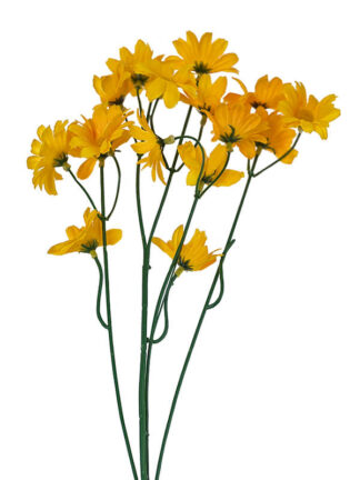 Margaretka  na gałązce 18 kwiatów (intensywny żółty) 62cm