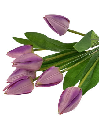 Tulipan w bukiecie 7 szt. T89 45 cm (Fiolet)