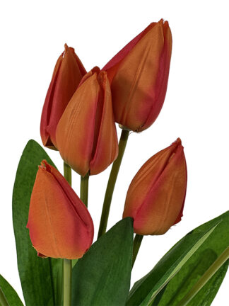 Tulipan w bukiecie 7 szt. T89 45 cm (Pomarańczowy)