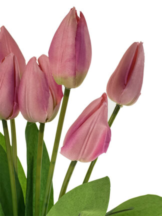 Tulipan w bukiecie 7 szt. T89 45 cm (Różowy)