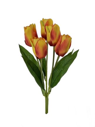 Bukiet Tulipan x 5 AFL 0801 Kolor herbaciany (31 cm)