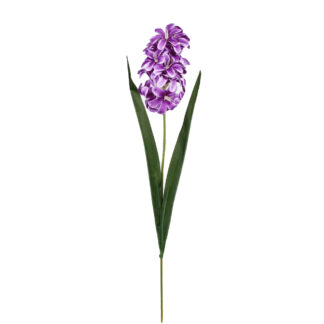 Hiacynt G452 Fiolet (49cm)