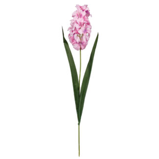 Hiacynt G452 Różowy Jasny (49cm)