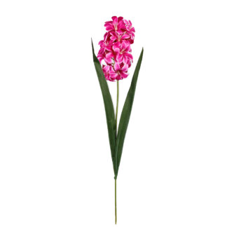 Hiacynt G452 Różowy Ciemny (49cm)
