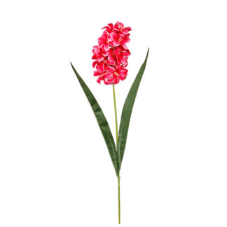 Hiacynt G452 Czerwony (49cm)
