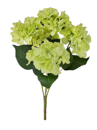 Bukiet Hortensji 5 kwiatów E546 Zielona (45cm)