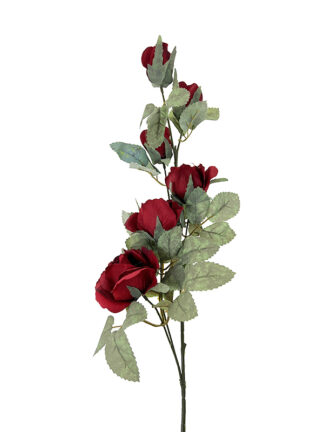 Róża pojedyncza z kolcami- czerwona KDGL280 90 cm