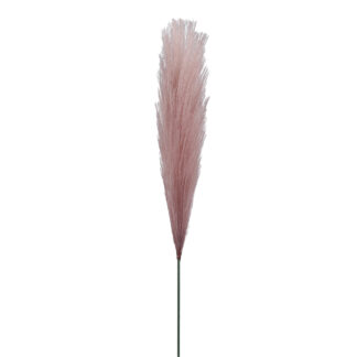 Pióropusz pampasowy A729 Różowy pastelowy (49cm)