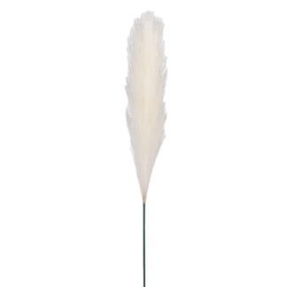 Pióropusz pampasowy A729 Kremowy (49cm)