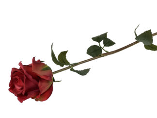 Róża sztuczna „jak żywa” A984A Czerwień 60 cm