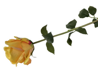 Róża sztuczna „jak żywa” A984A ŻÓŁTA 60 cm