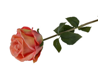 Róża sztuczna „jak żywa” A984A Brzoskwiniowa 60 cm