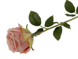 Róża sztuczna „jak żywa” A984A Pastelowy róż II 60 cm