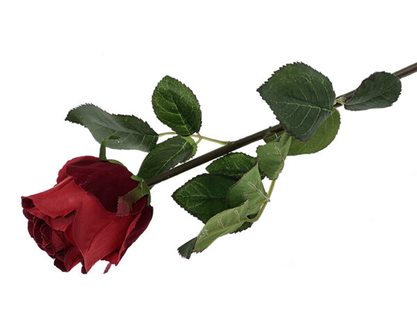 Pakiet – Czerwona róża „jak żywa” S62 (60 cm) BUKIET 12szt.